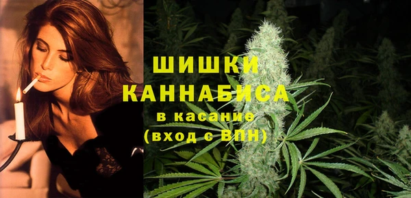 меф Арсеньев