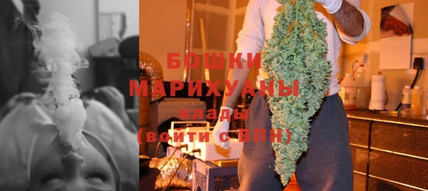 spice Аркадак