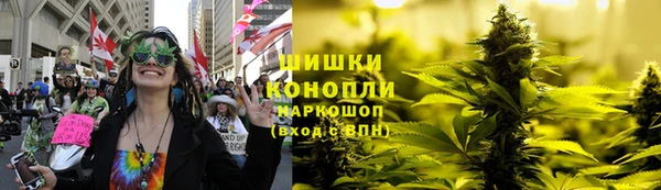 spice Аркадак