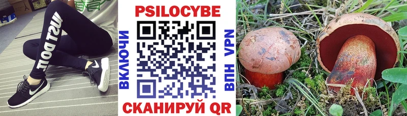 Псилоцибиновые грибы Psilocybine cubensis Нижневартовск