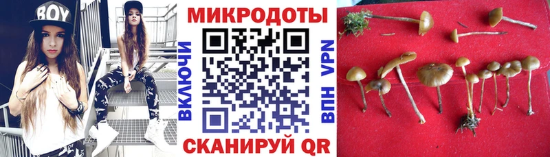 Купить  Нижневартовск  Галлюциногенные грибы Cubensis 